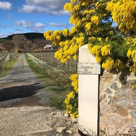 Domaine De Peilhan Roujan Eksteriør billede