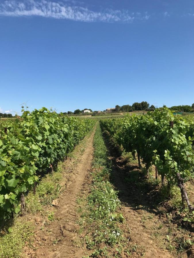 Domaine De Peilhan Roujan Eksteriør billede