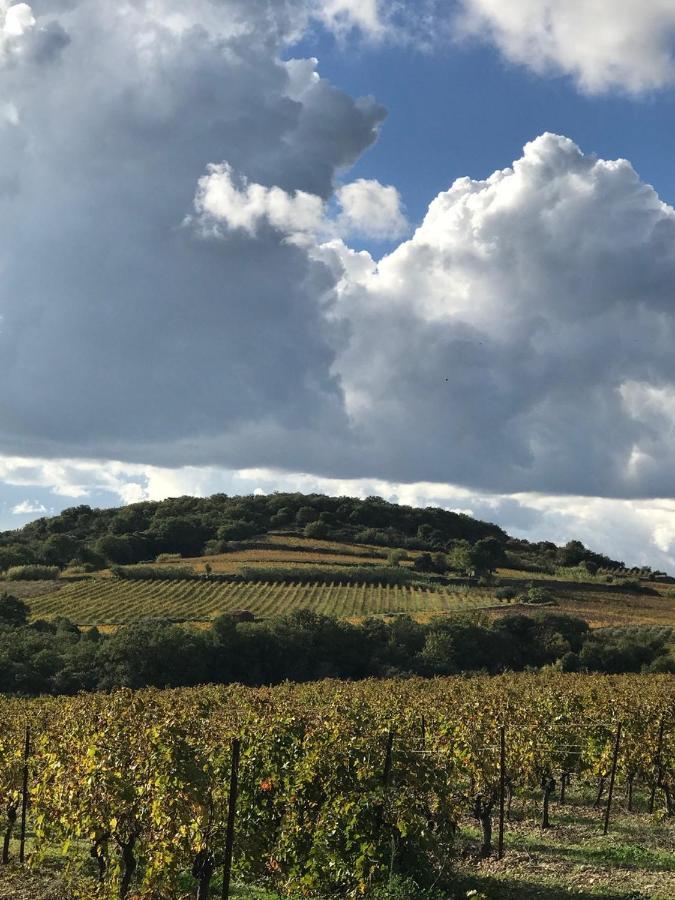Domaine De Peilhan Roujan Eksteriør billede