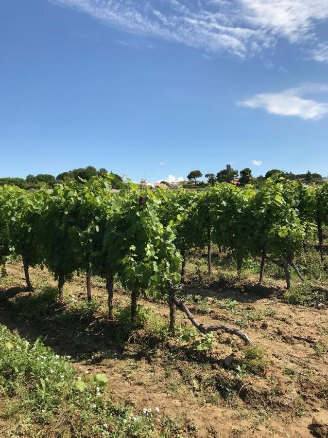 Domaine De Peilhan Roujan Eksteriør billede