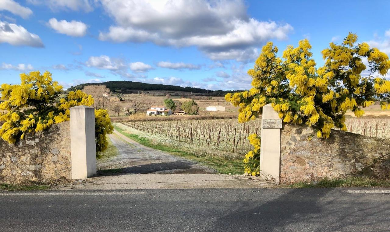 Domaine De Peilhan Roujan Eksteriør billede